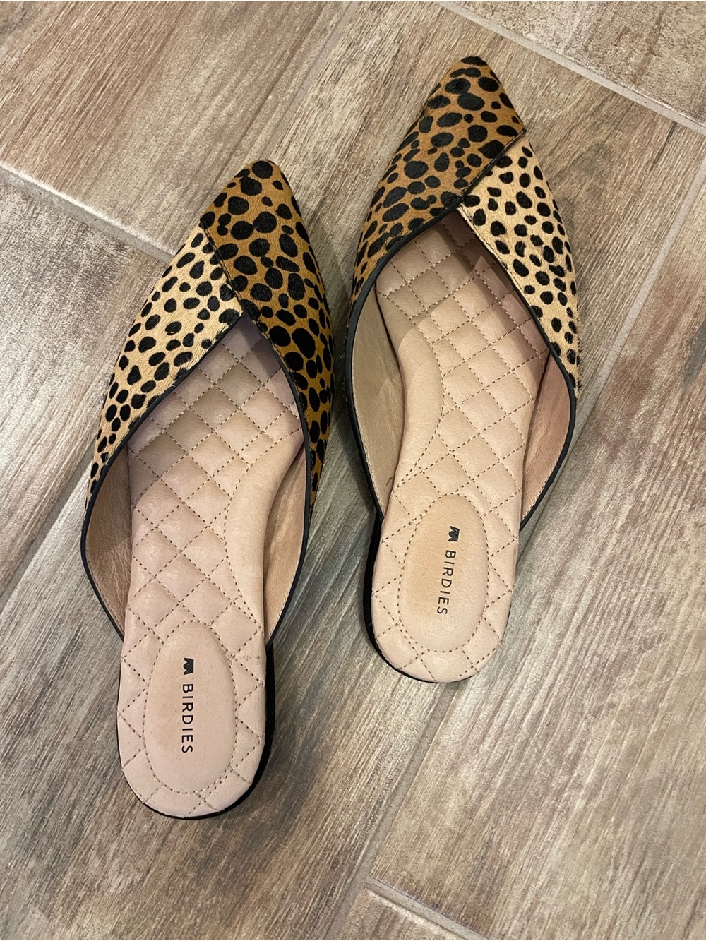Birdies Leopard Print Swan Mules
